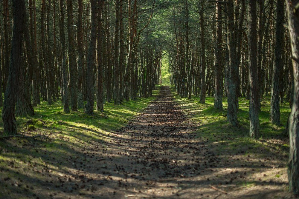 Photograph by Тарасова Ольга