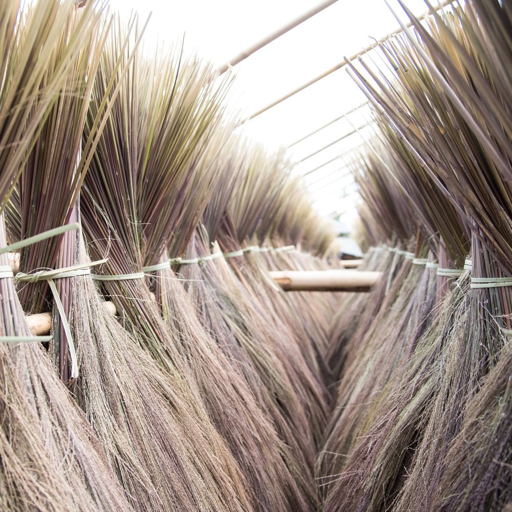 Тоннель жизни