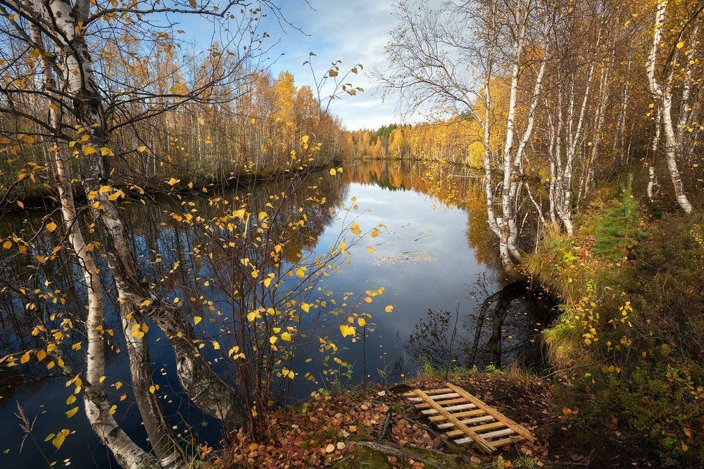 Золотая осень