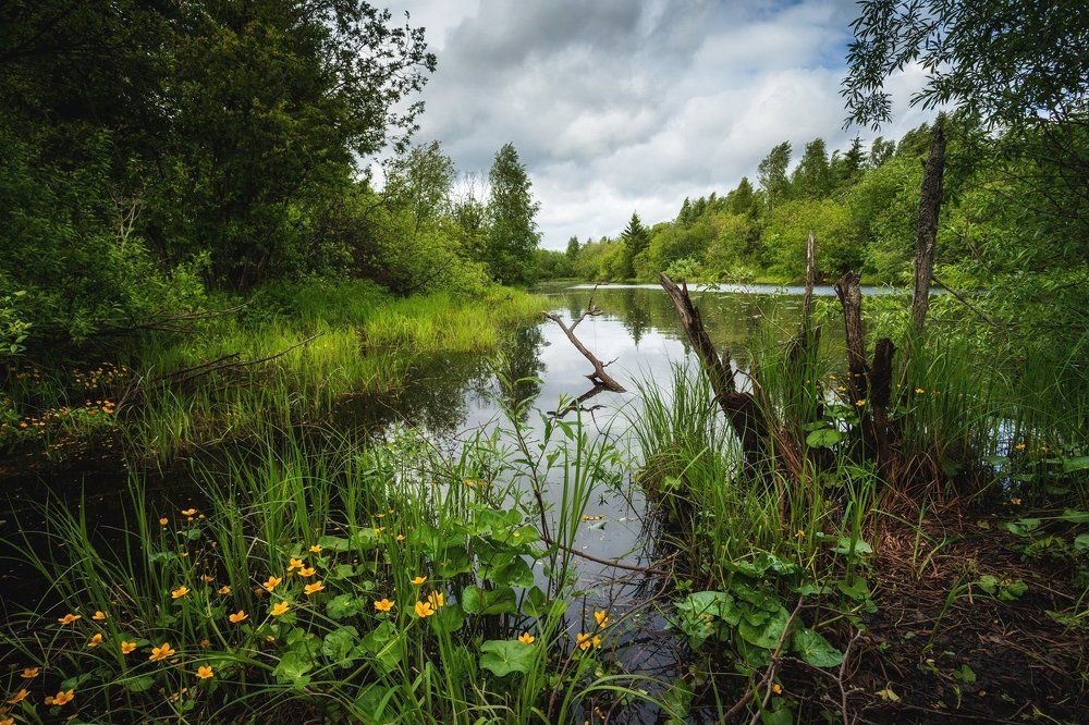 Летний вечер
