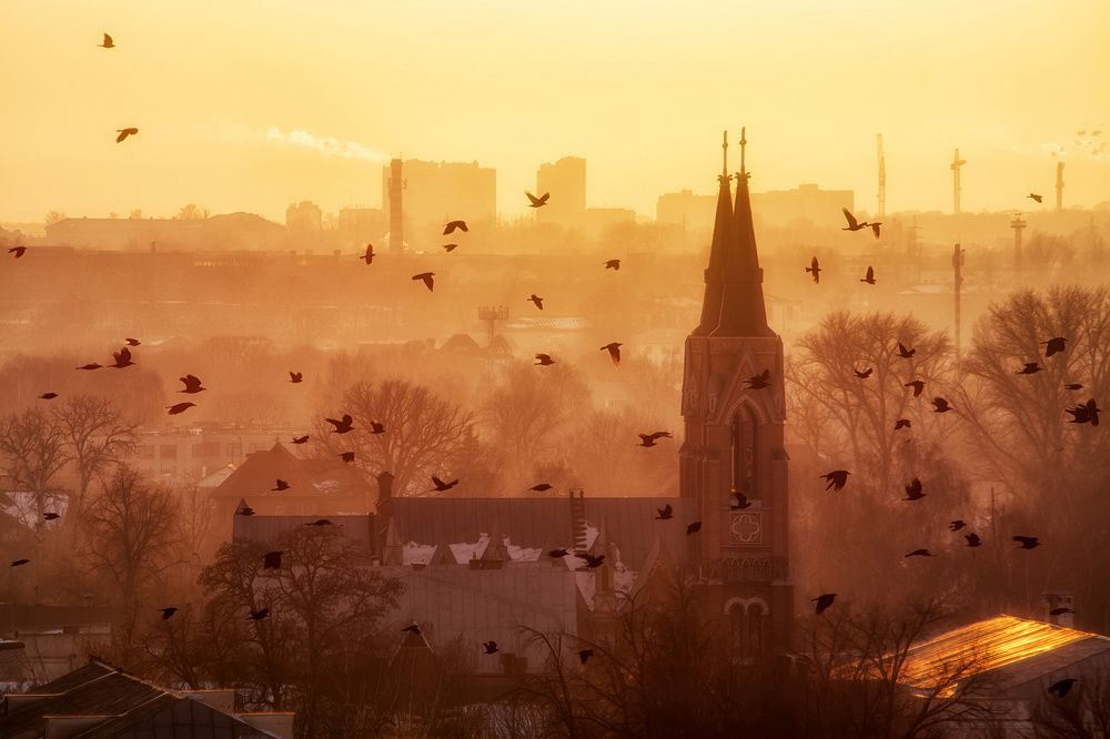 Грачи прилетели