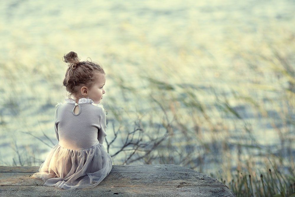 На берегу озера