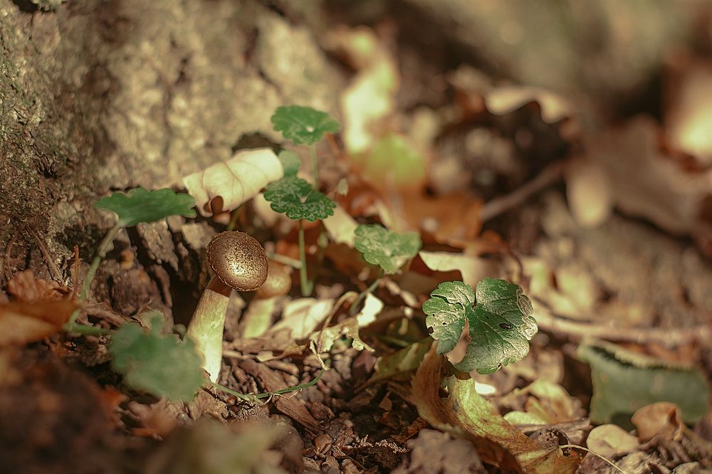 под лучами солнца