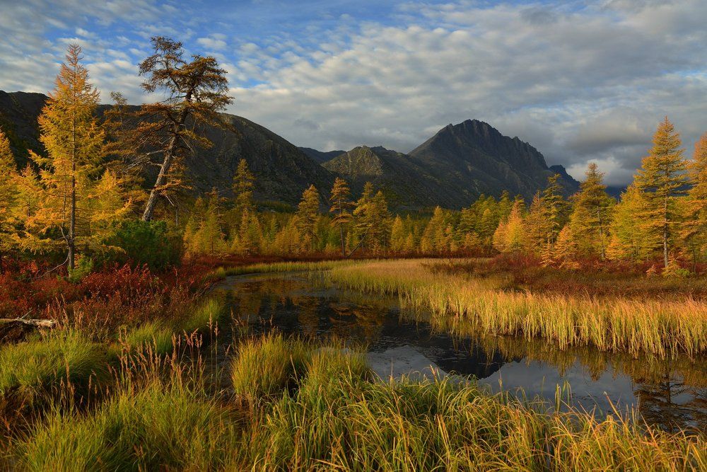 Ручей Неведомый