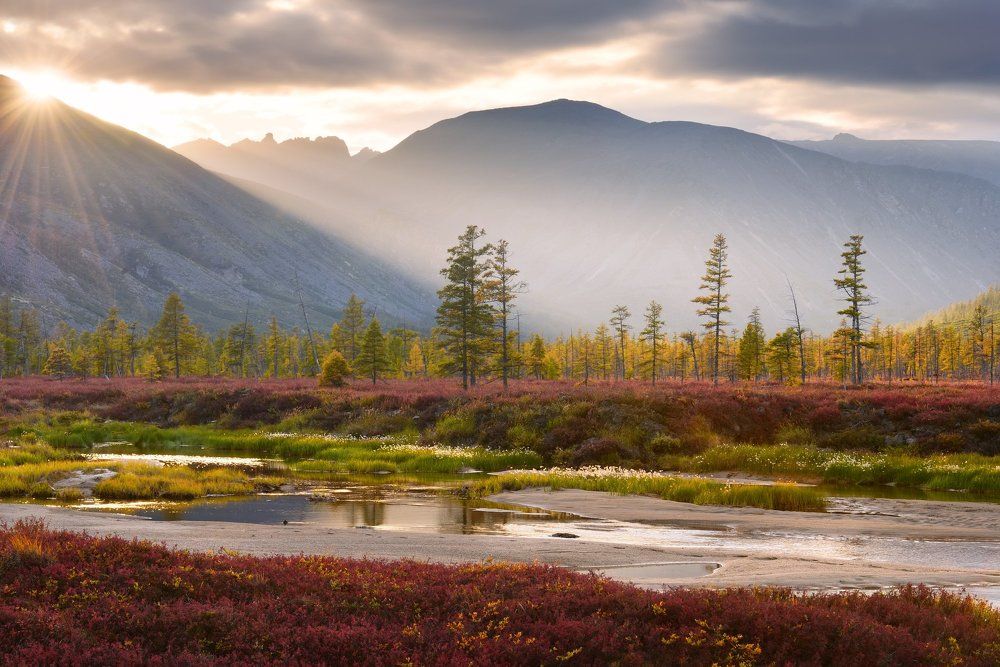 Подмигнуло Студеному солнышко...