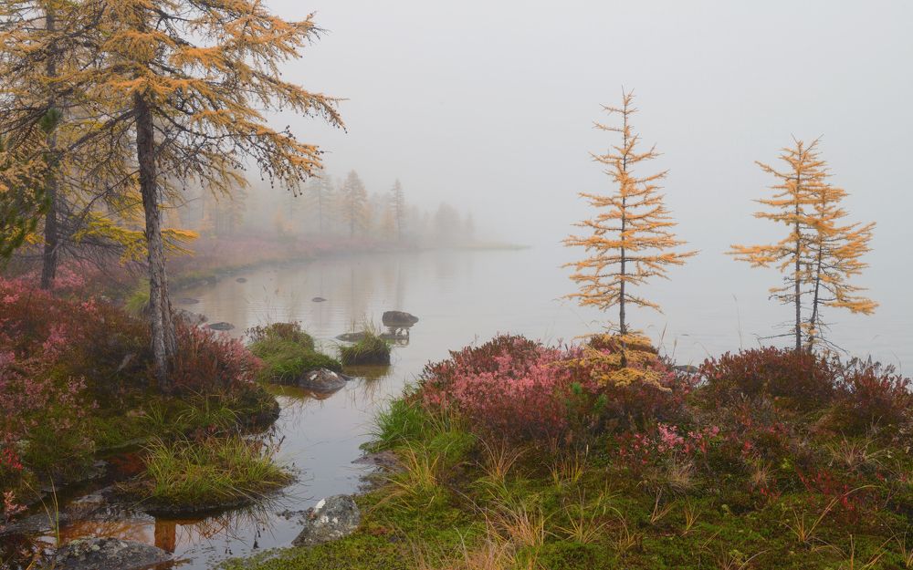 Уютный уголок на озере...
