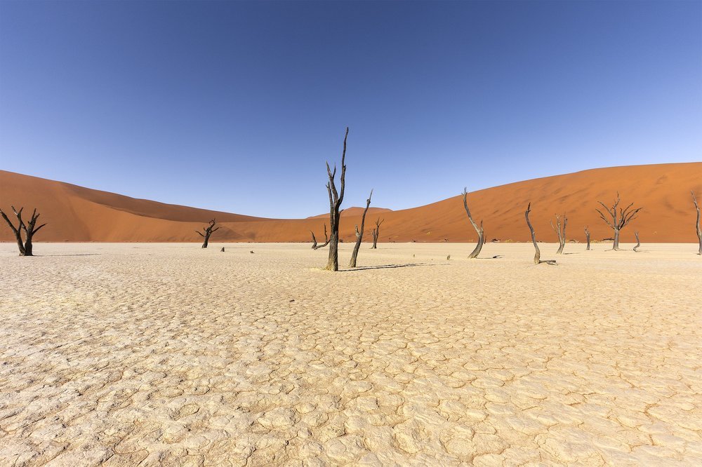 Deadvlei Намибия