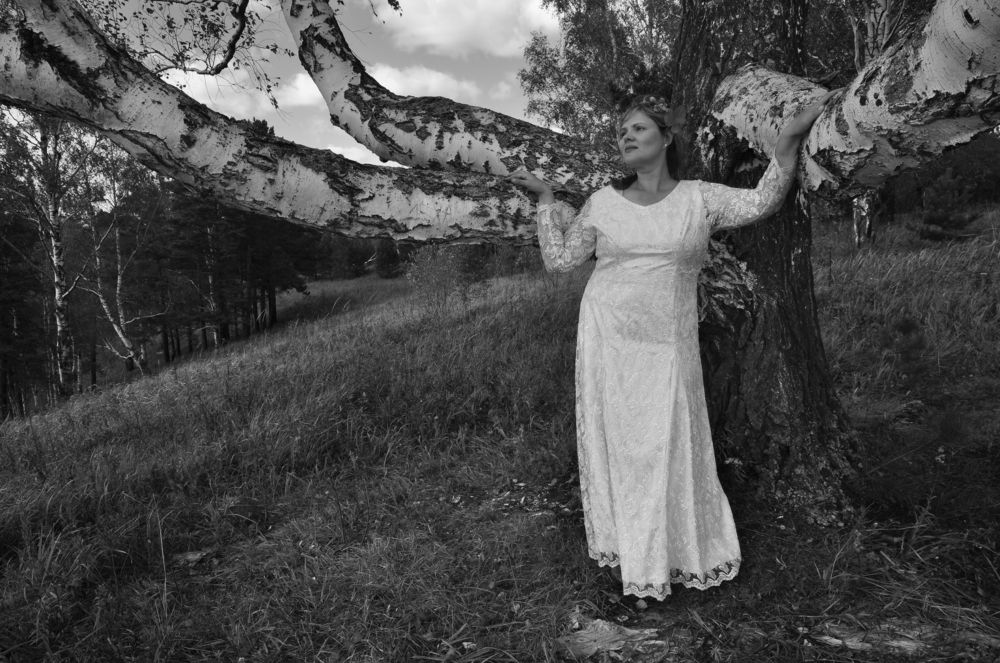 Невеста у березы    Bride birch