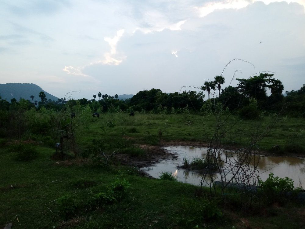 Rustic village landscape from India.