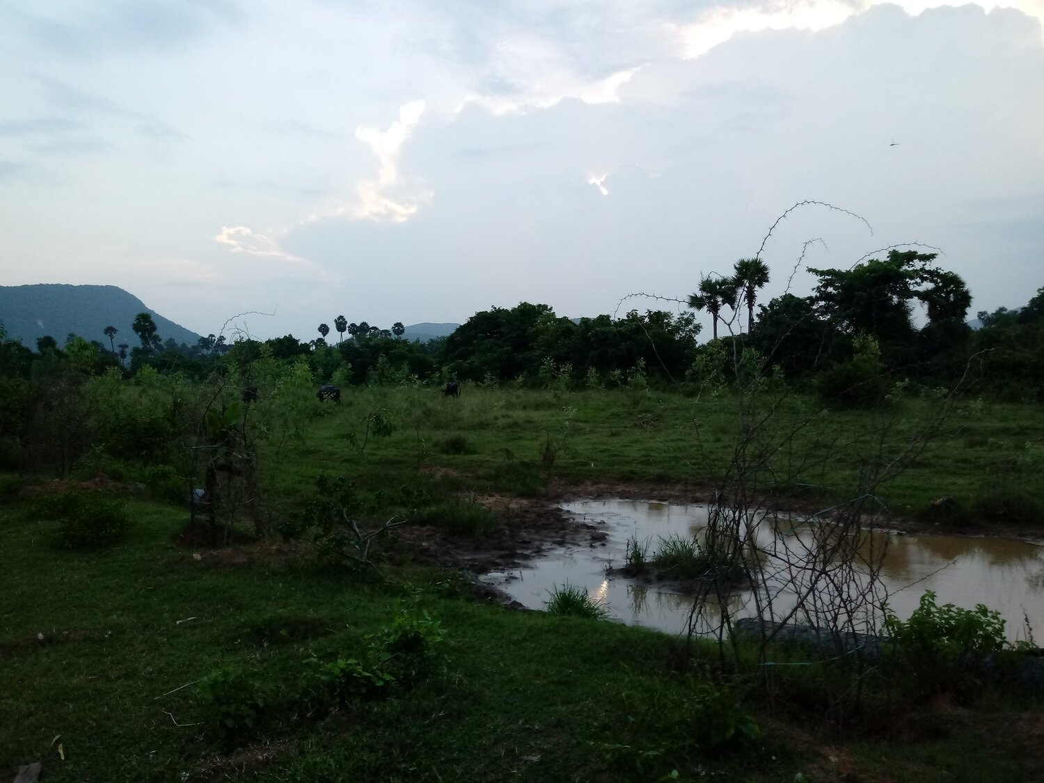 Rustic village landscape from India.