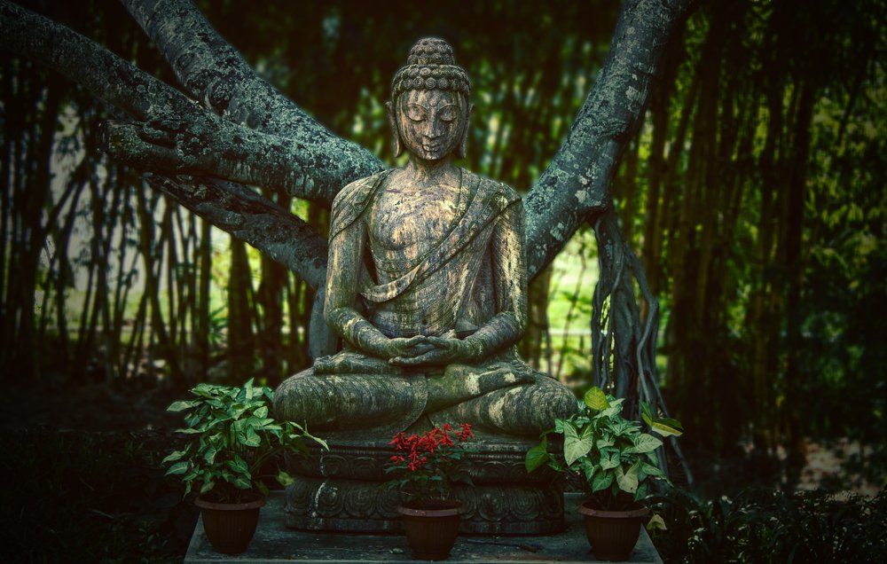 Meditation in Bangalore