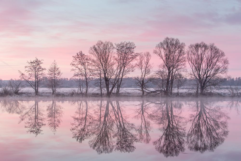 Графика ранней весны.