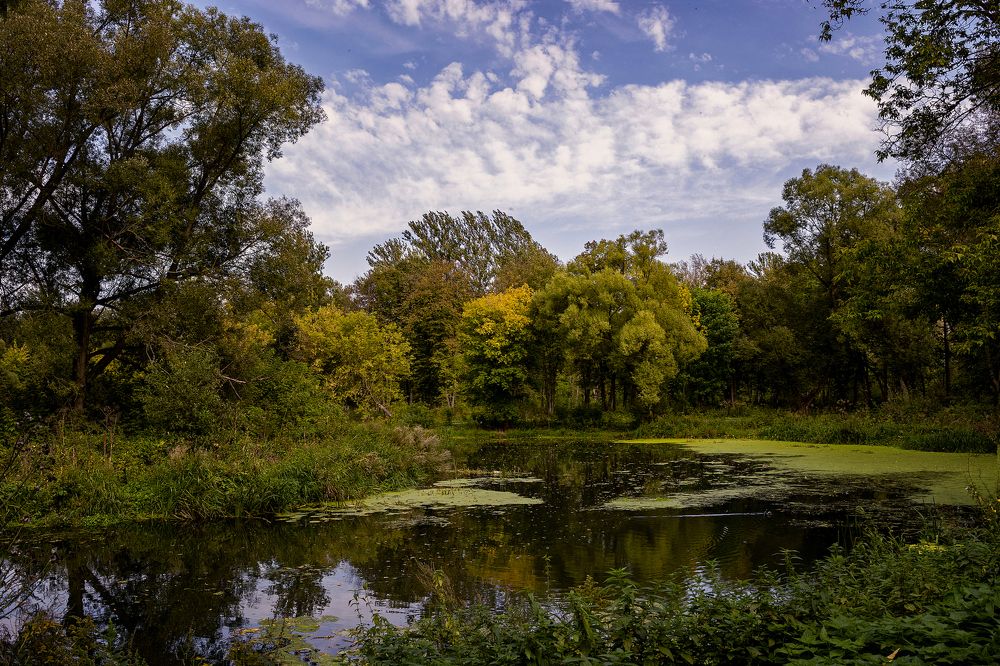 родное.. близкое