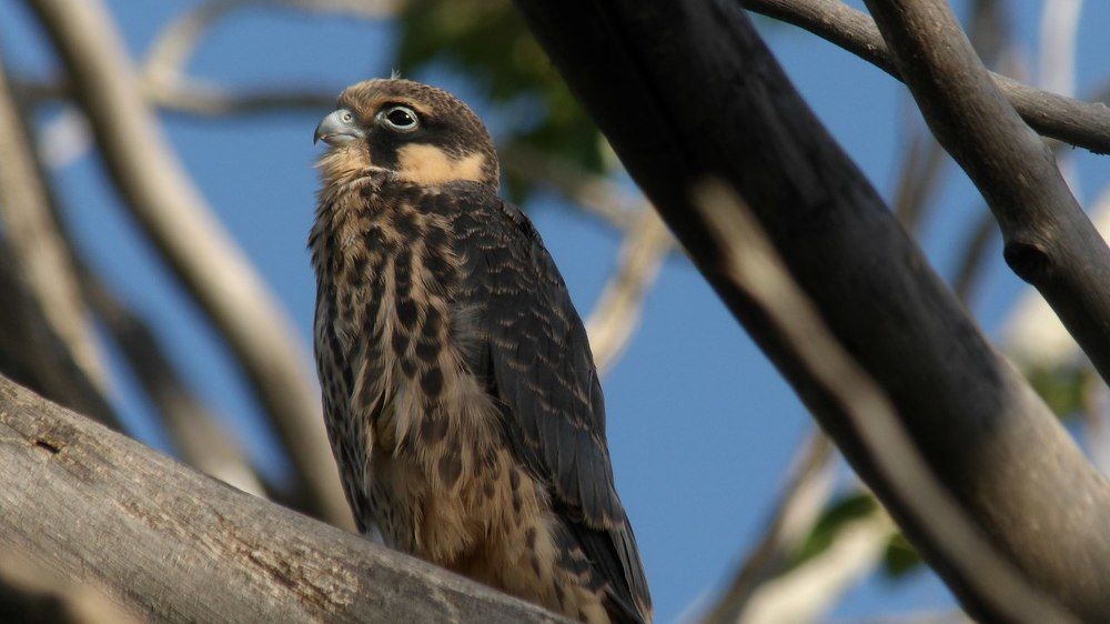 Photograph by Илья Юхнов