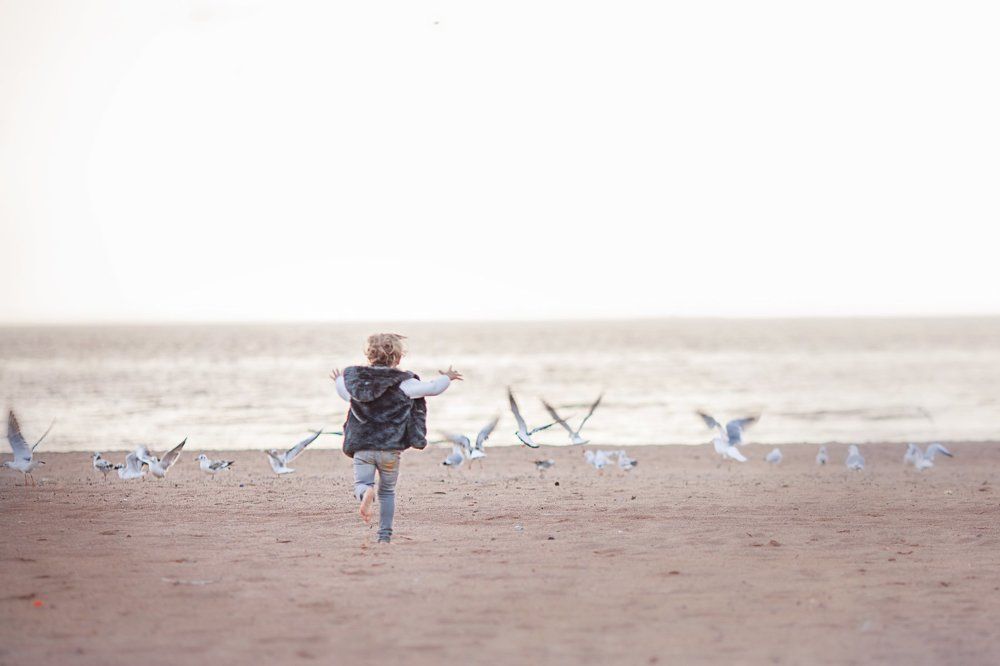 на берегу залива