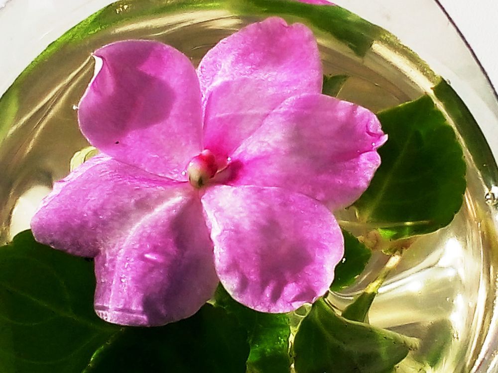 Ванька мокрый