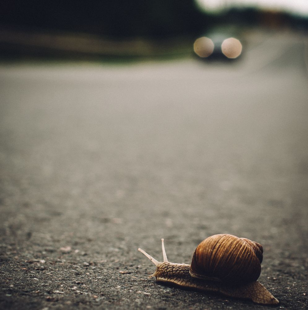 Photograph by Александр