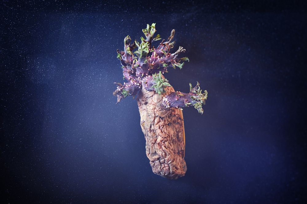 Photograph by Александр Крохов