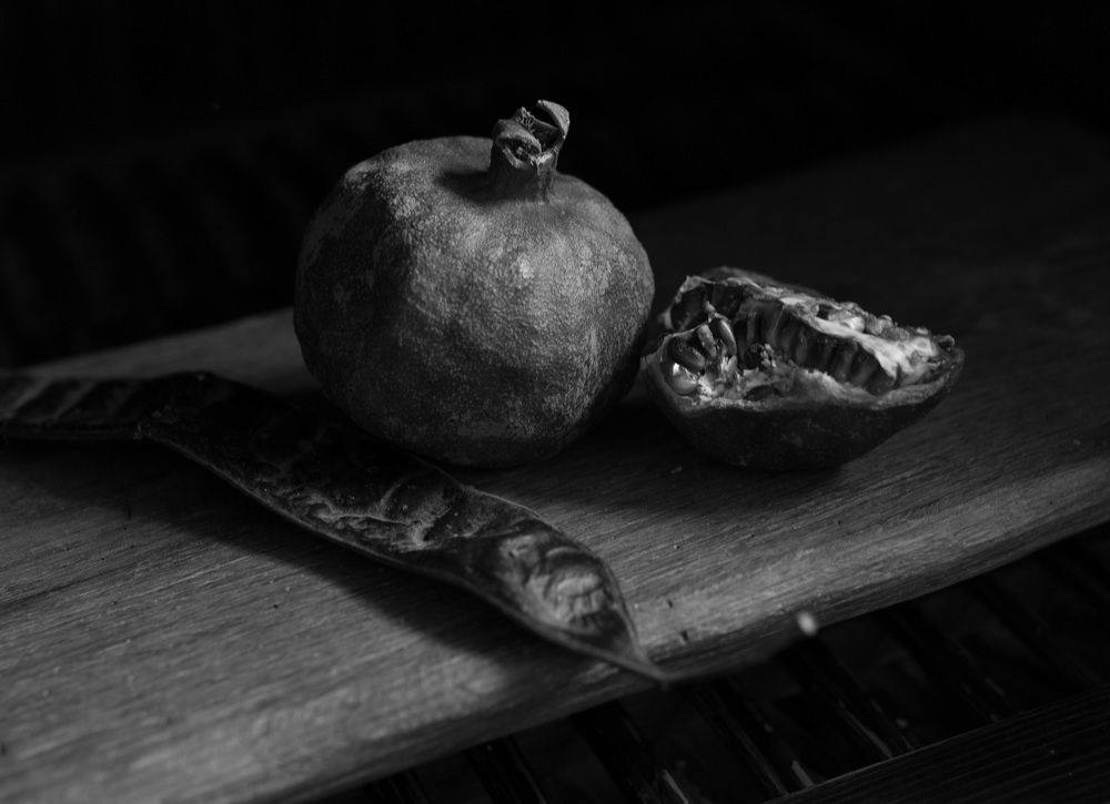 Photograph by Anna Novak