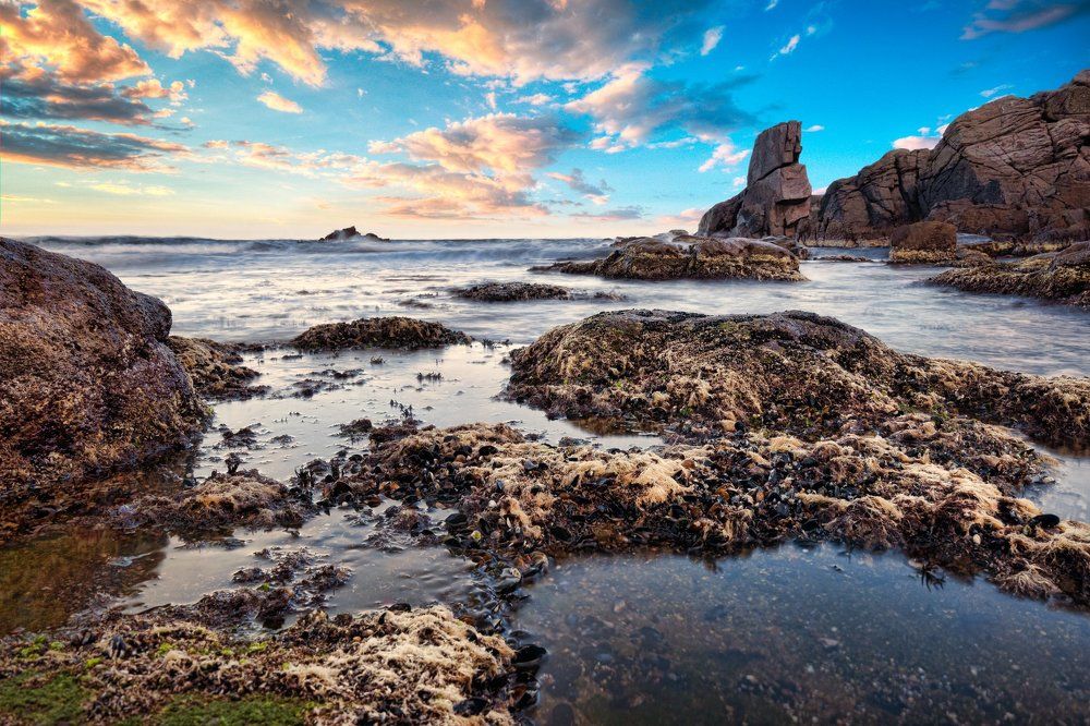 Coast of Sozopol, Bulgaria