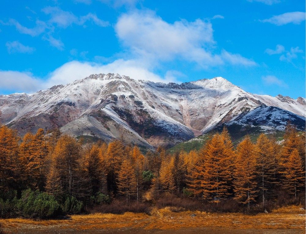 Объятья трёх сезонов