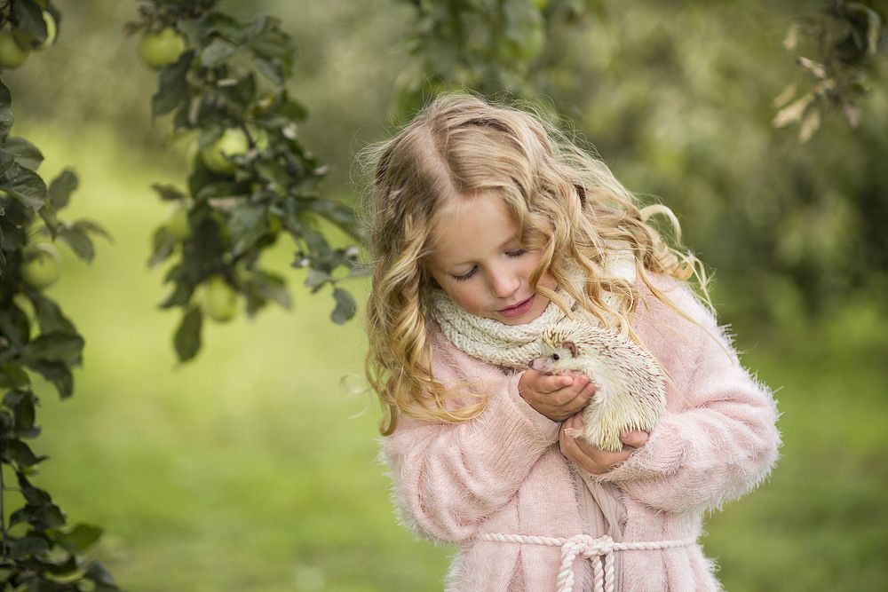Мычты сбываются!