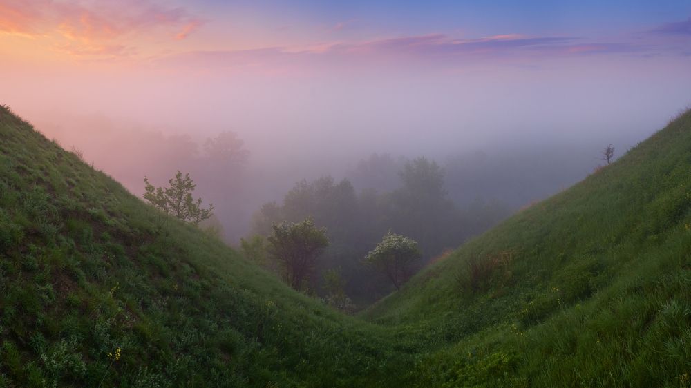 Туманная долина