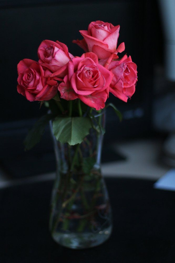 "Как хороши, как свежи были розы"