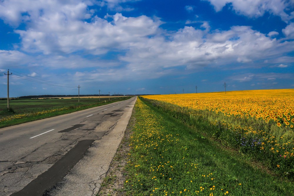 Русские дороги