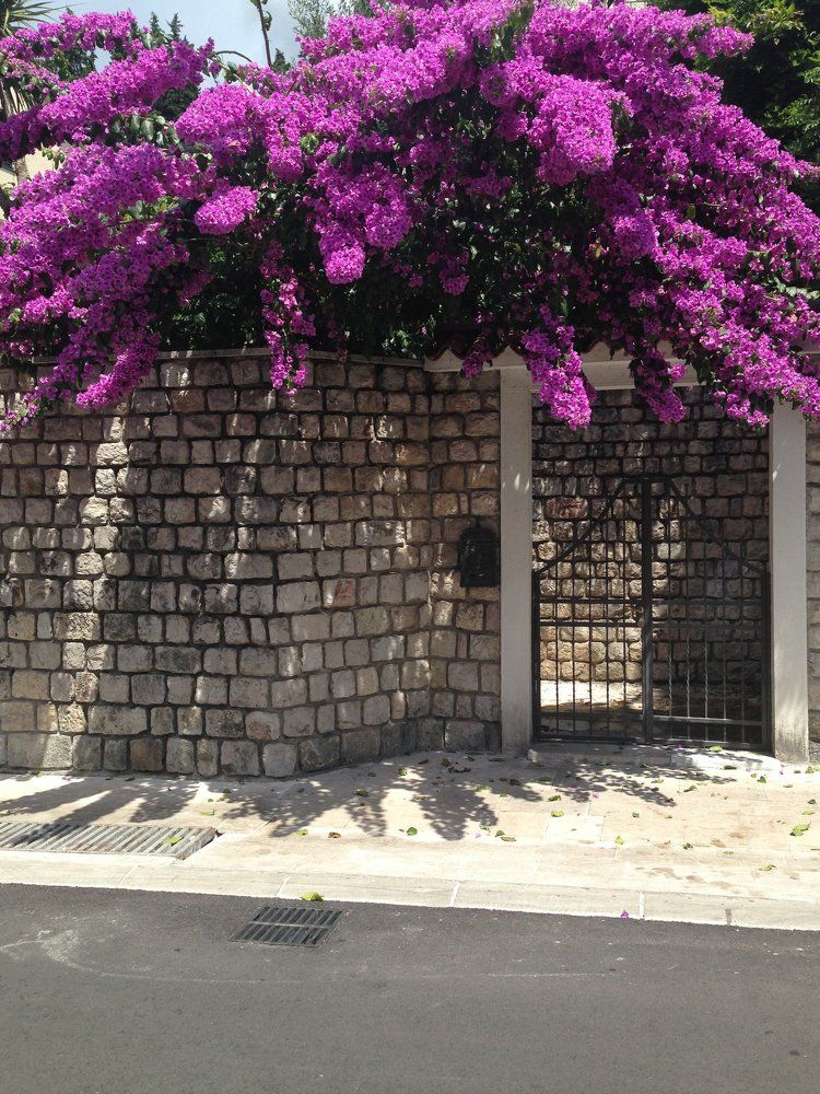 Photograph by Елена