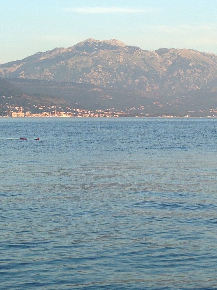 Photograph by Елена