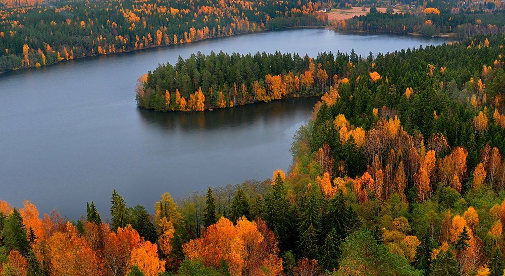 парк Ауланко