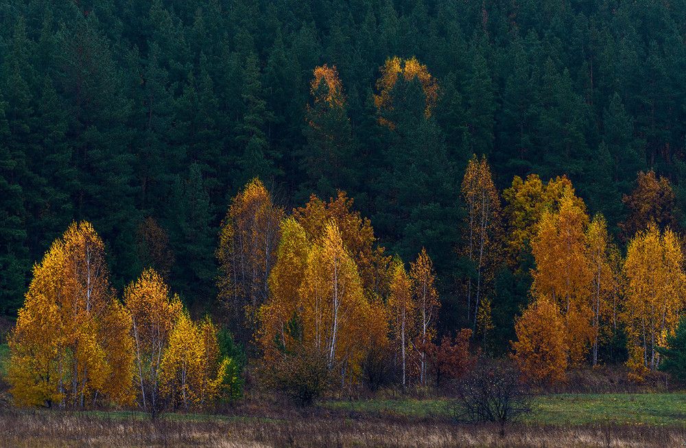 И вот пришла осень...