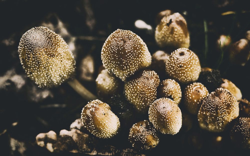 Photograph by Анатолий Григорьев