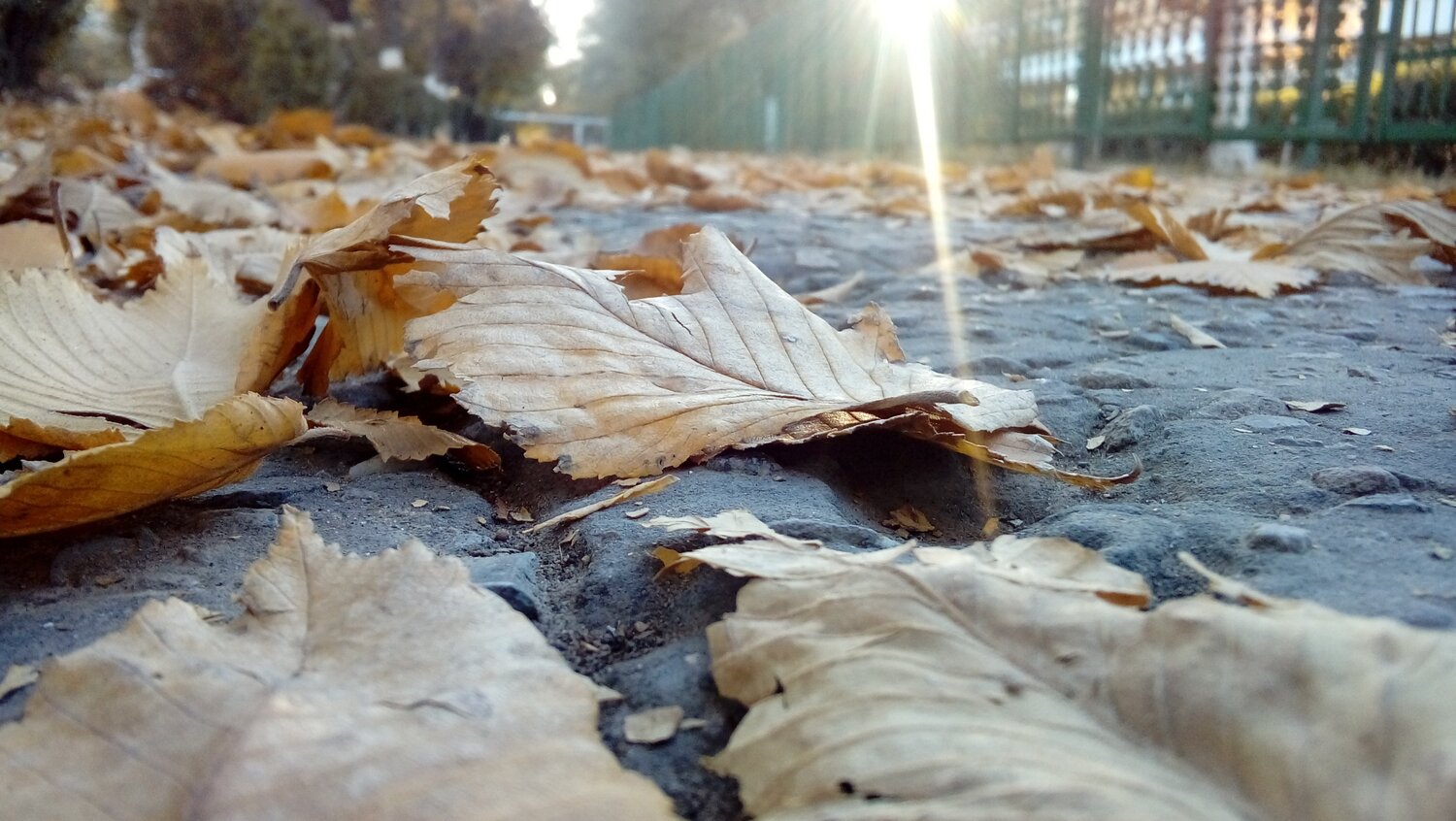 Осень