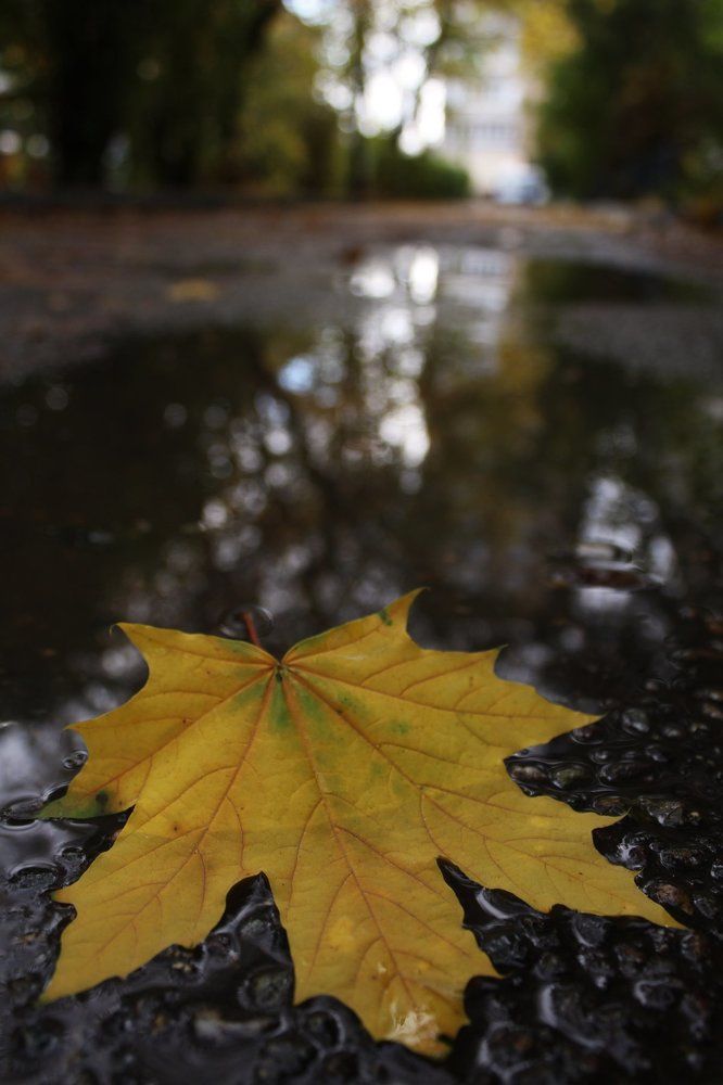 Меланхолия