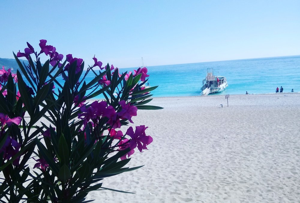 Дом моей души