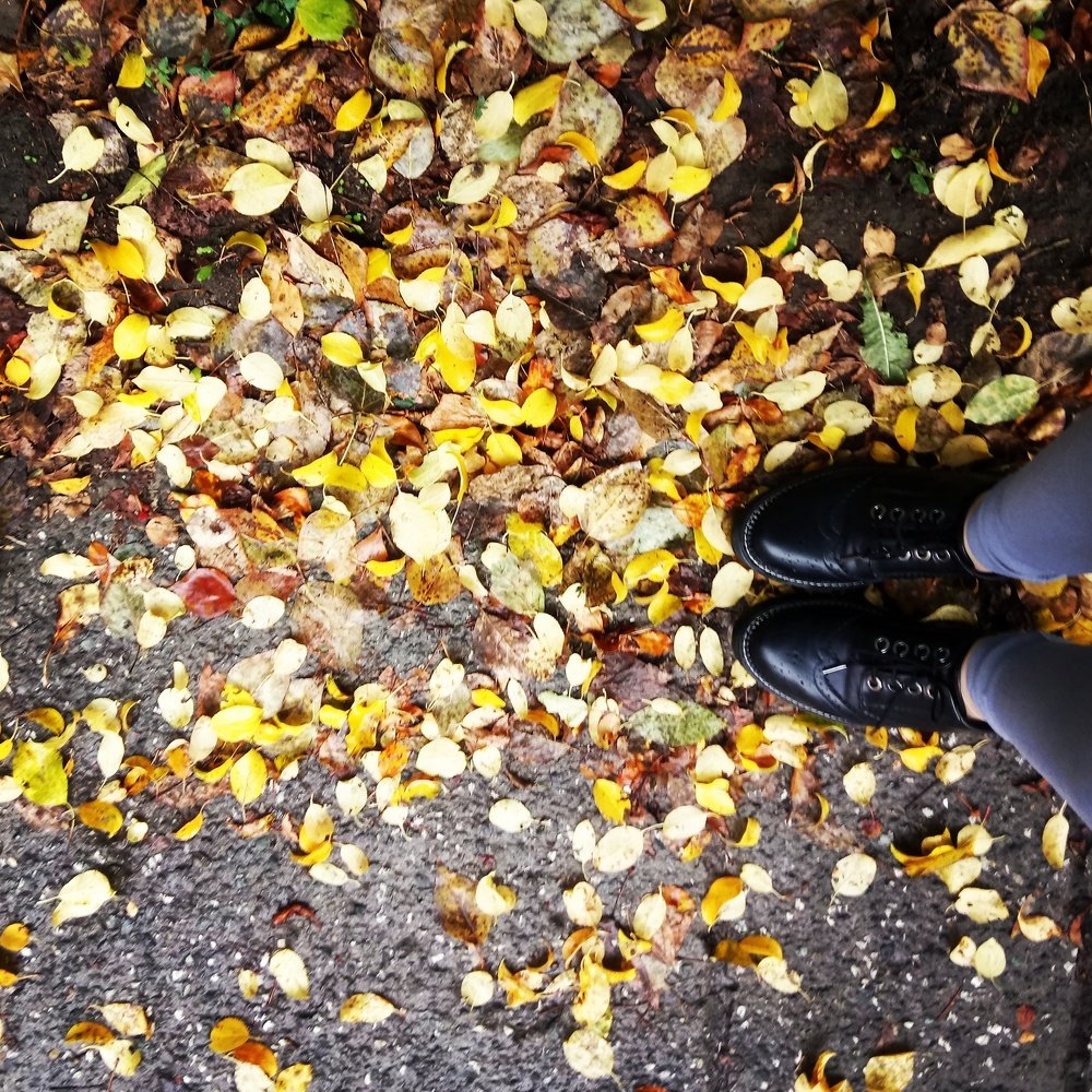 Золотая осень