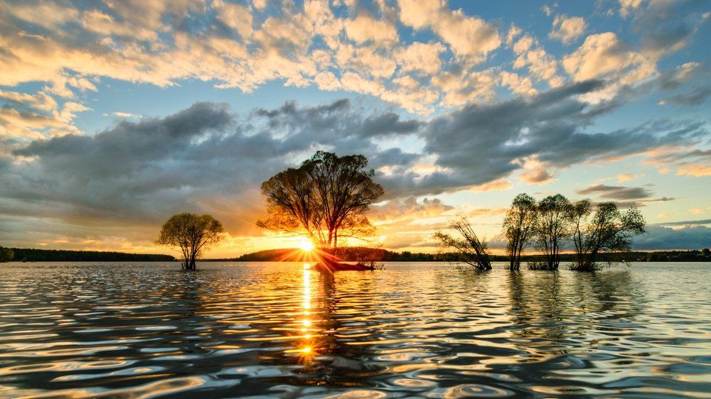 Солнечная дорожка