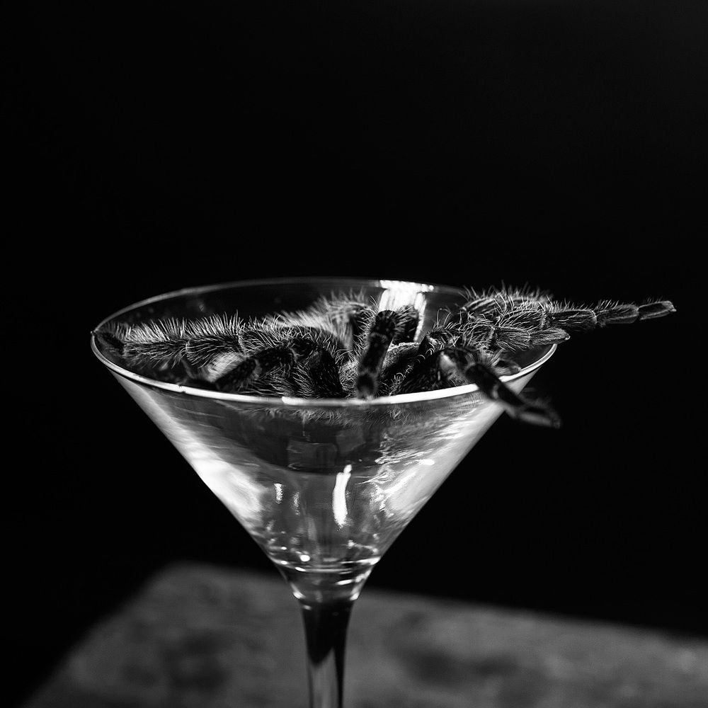 Photograph by Карина Воробьева