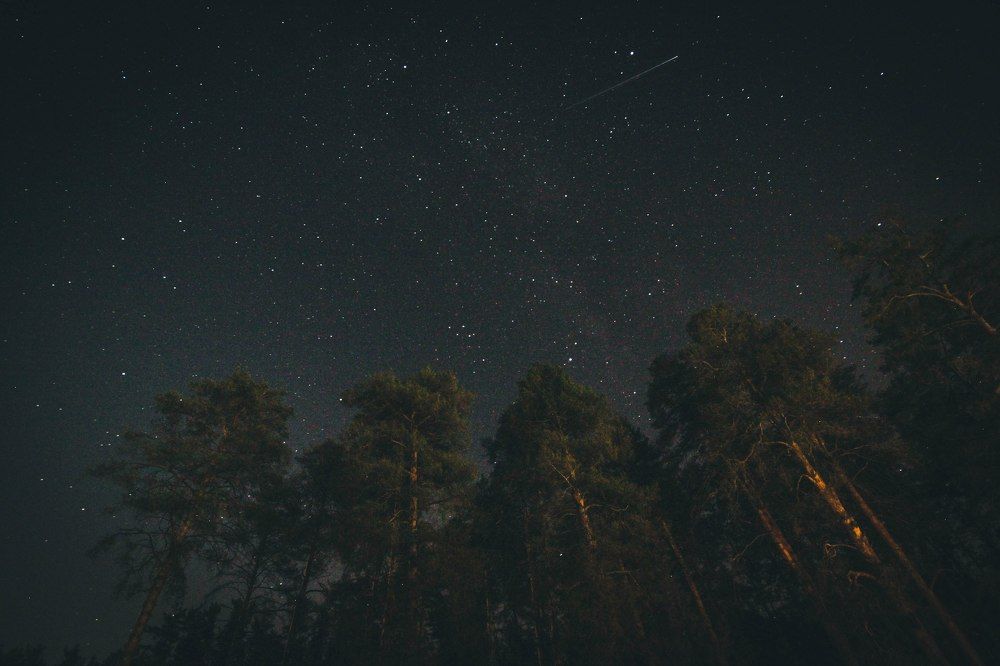 Photograph by Лебедева Света