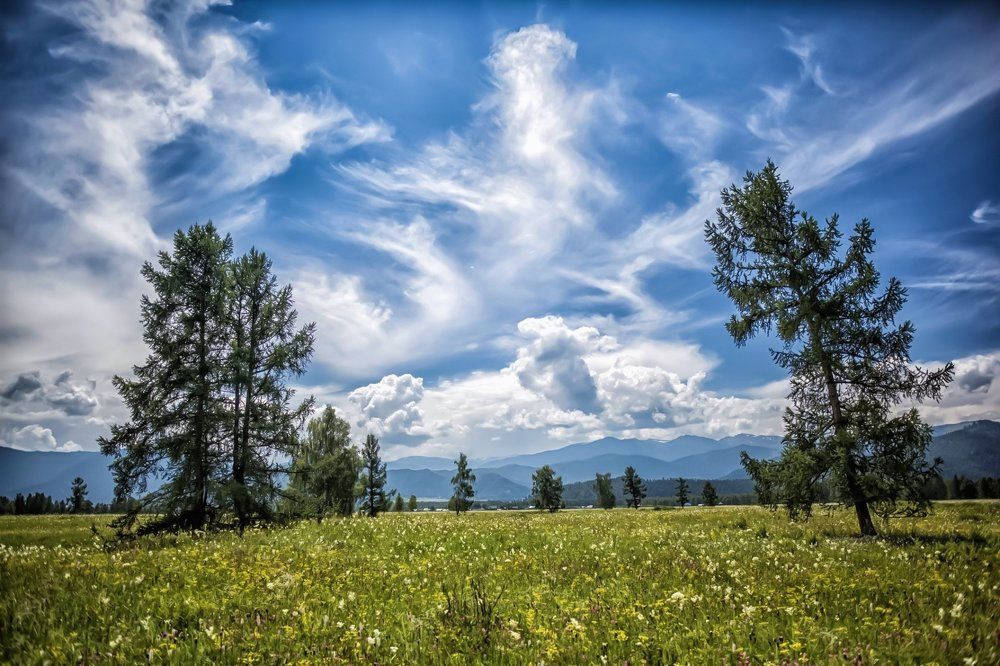 Подъезжая к Устье-Коксе 1