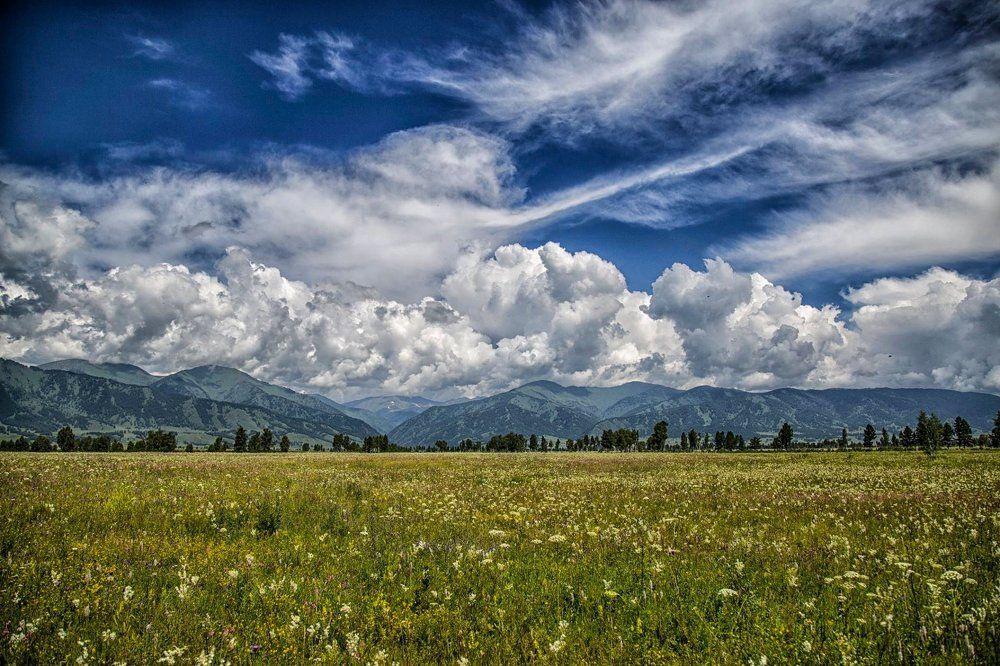 Подъезжая к Устье-Коксе 2