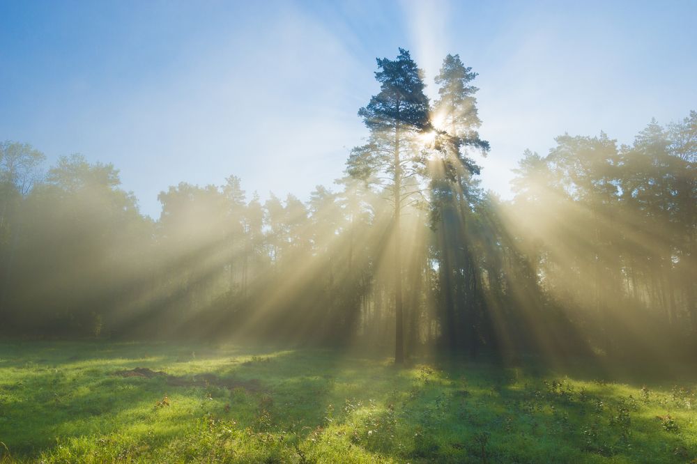 Раннее утро !