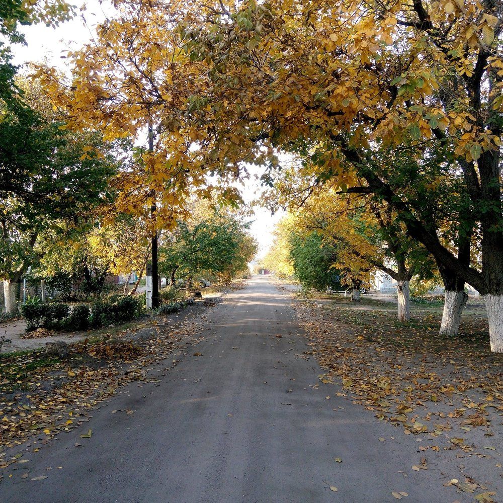 Осень золотая