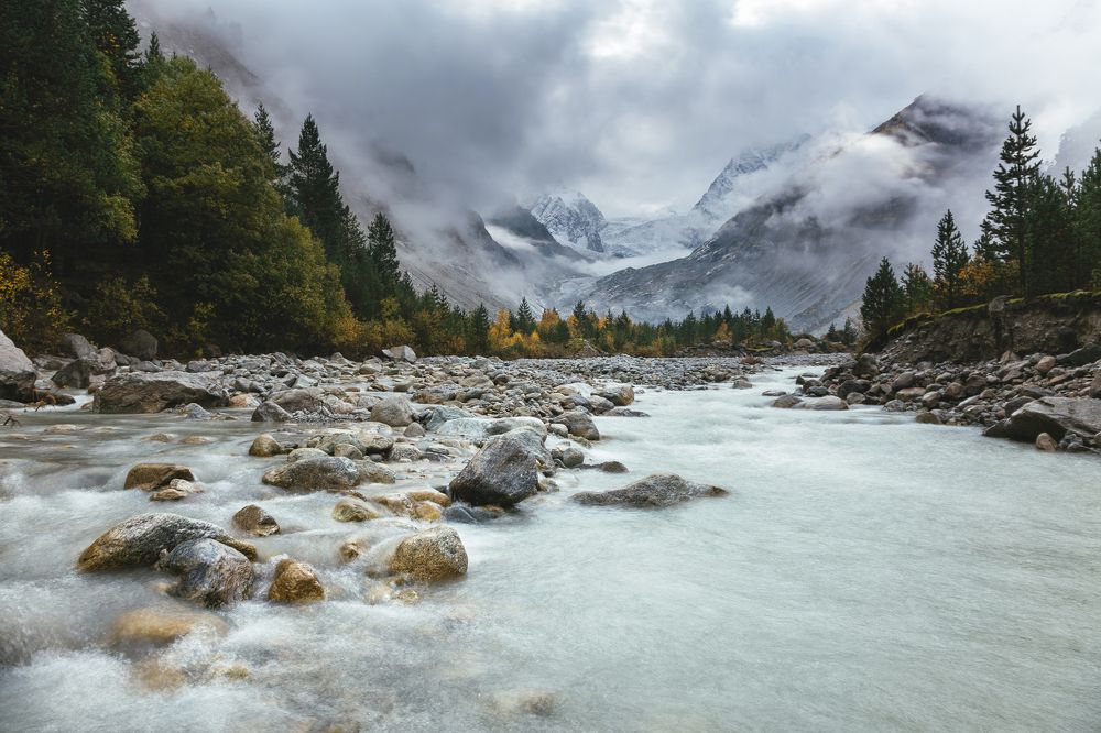 Туманное утро