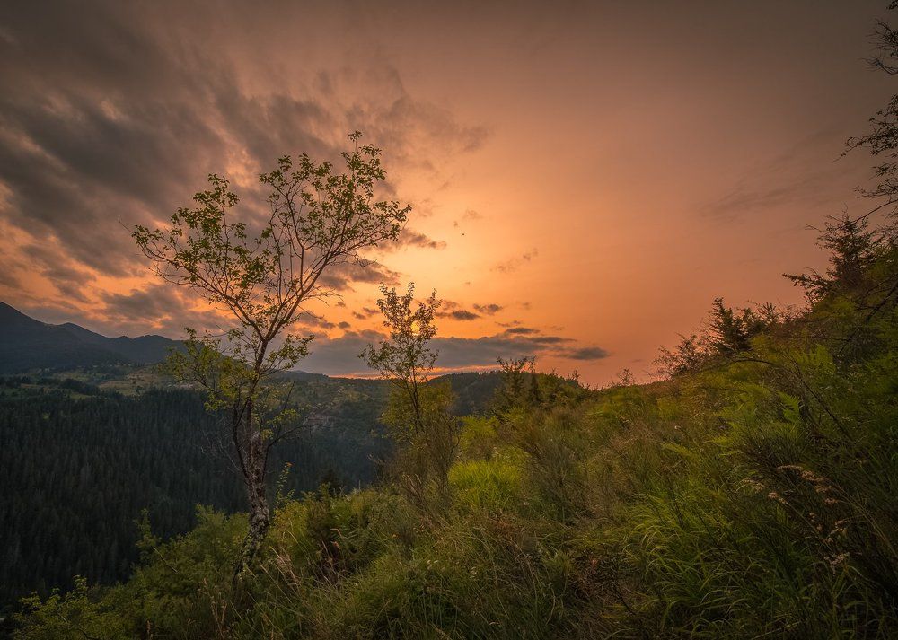 Фотография автора stoyan pavlov