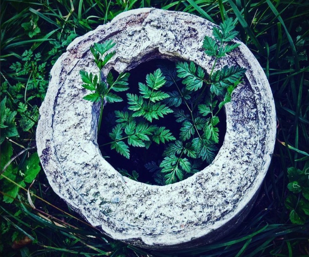 Зелень и бетон