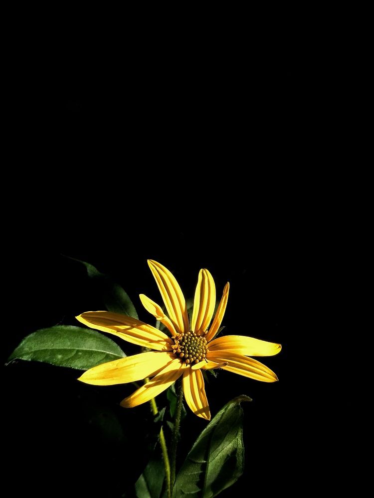 Свет во тьме