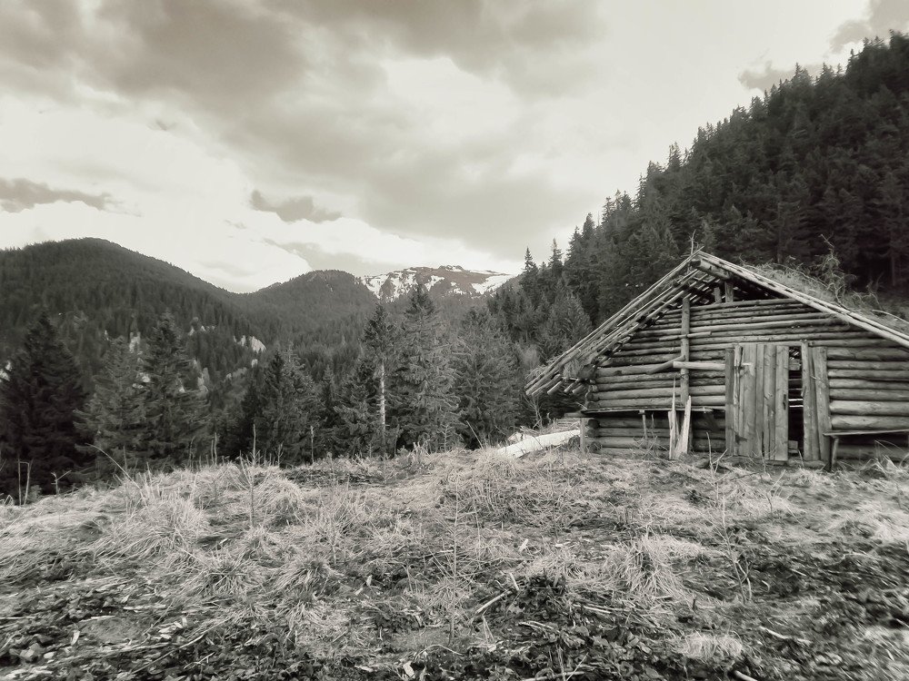 Red Mountain  -  abandoned sheepfold